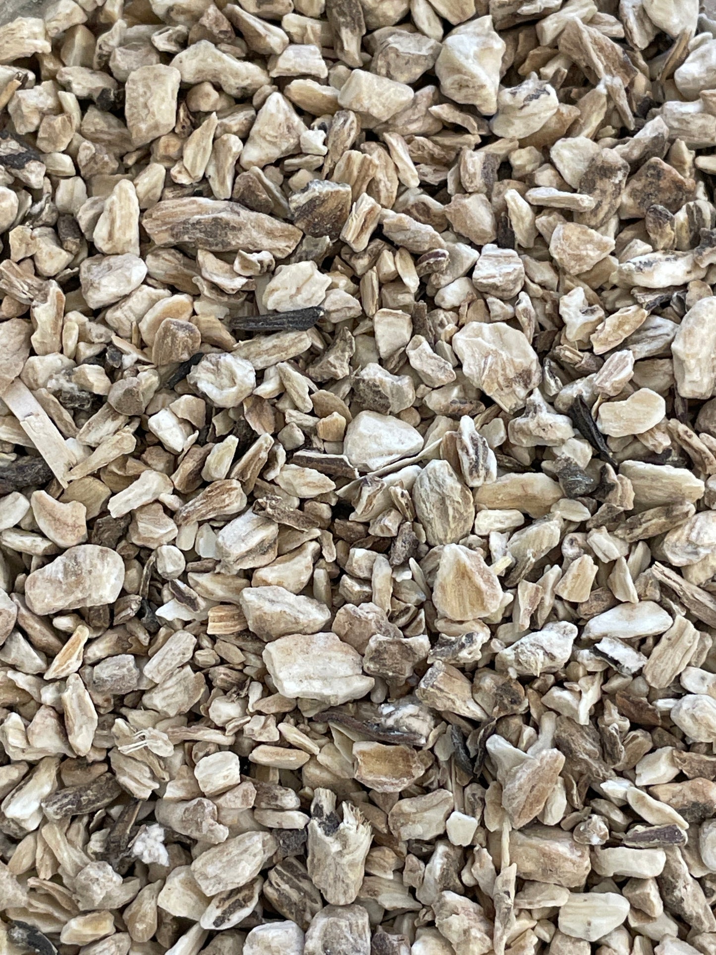 Burdock Root