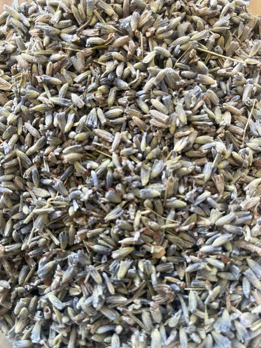 English Lavender