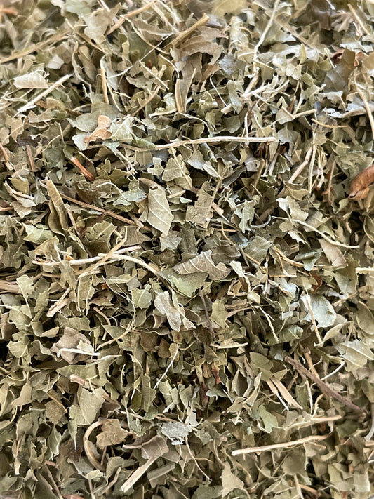 Lemon Verbena (available in store)